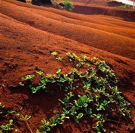 《魔法工艺》最新EA版本更新，更酷、更炫、更有深度！