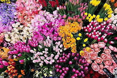 《VR女友》新宣传片 与夕阳樱一起体验甜蜜生活